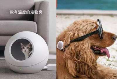 趣宅智能宠物生态 铲屎官的全屋智能家居福音